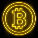 Capítulo 6. Bitcoin y el Renacimiento Digital.